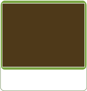 Movie Frame